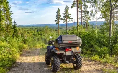 Moose Season Opens This Week: The First Aid Skills Every New Brunswick Outdoors Person Needs